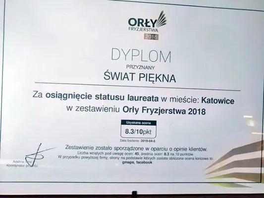 dyplom orły fryzjersywa